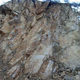 Image for article titled Damn Washington, That's an Impressive Landslide!